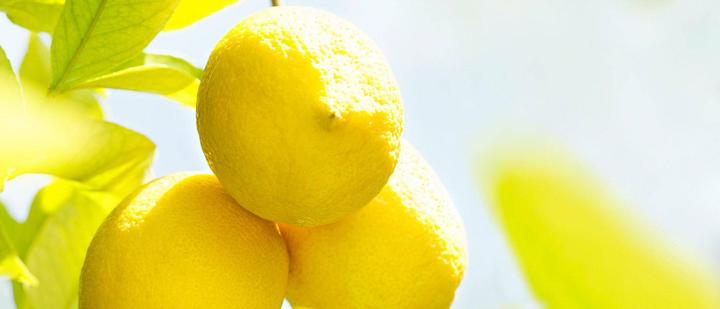 Actual product image Weleda Citrus (Body cream, 200 ml)