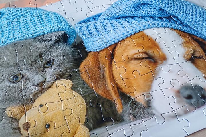 Image du produit Selecta Spielzeug Puzzle Gentil chaton et chien endormi, 100 pièces. (100 pièces)