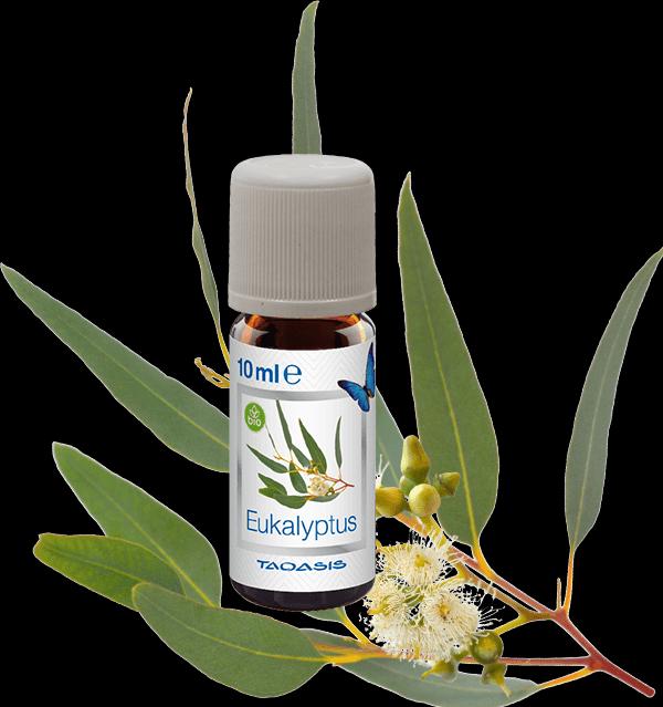 Immagine prodotto Venta Olio di fragranza biologico (3 x)