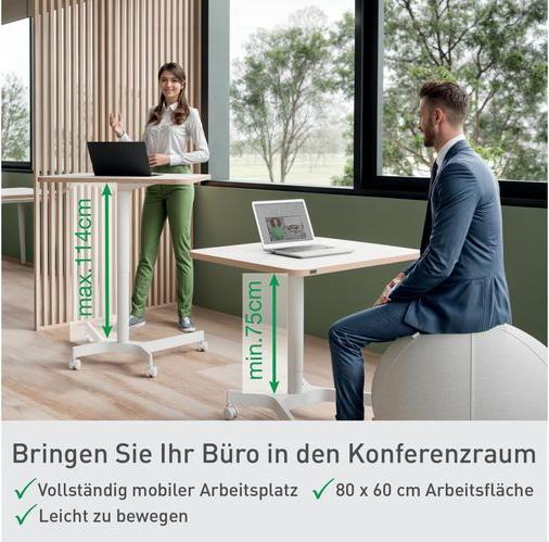 Produktbild Leitz Ergo Compact Workstation Höhenverstellbarer Schreibtisch (80 x 60 x 75 cm)