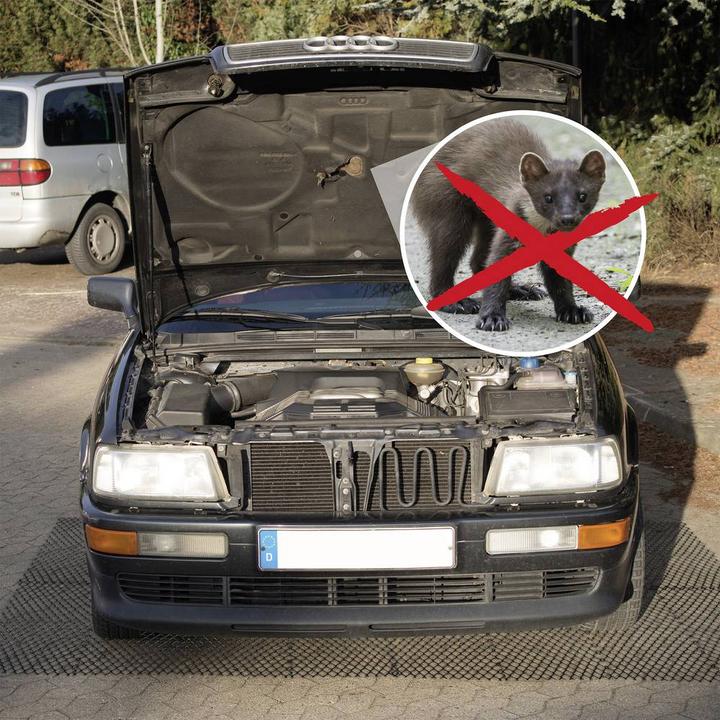 Productafbeelding Gardigo Mobiele martermat