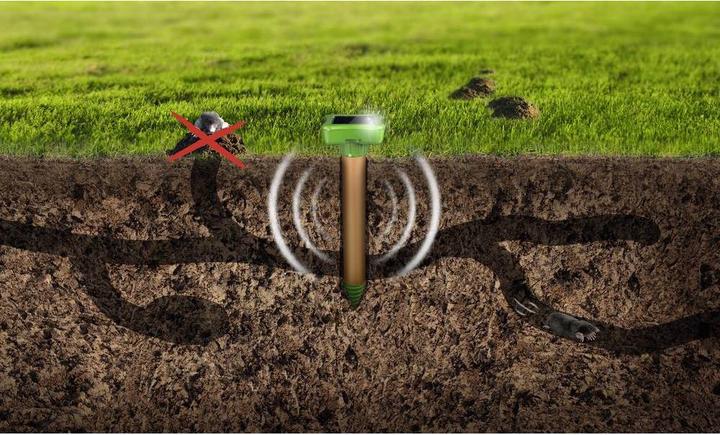 Image du produit Gardigo Répulsif campagnols r Répulsif campagnols fourmis
