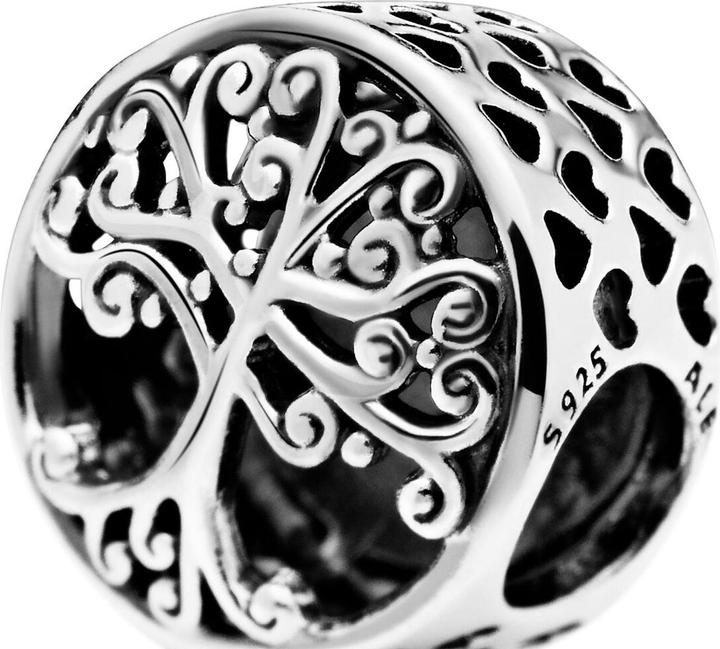 Image du produit Pandora Charm Hommage Familial (Argent)
