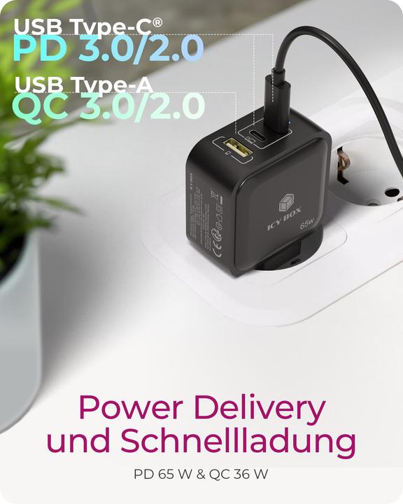 Actual product image Icy Box IB-PS1030-PD (65 W)