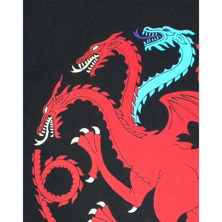Image du produit Game of Thrones Ice And Fire Dragons TShirt (S)