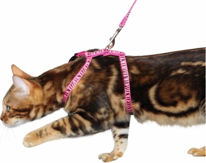 Image du produit Kerbl Harnais pour chat (Chat)
