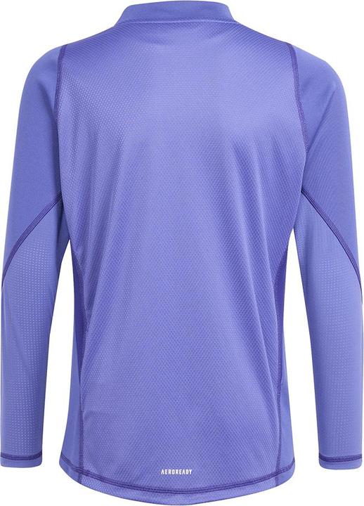 Actual product image adidas Tiro24 P Gk Jsy Ly (128)
