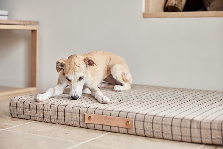 Actual product image Oyoy Milo (Dog)