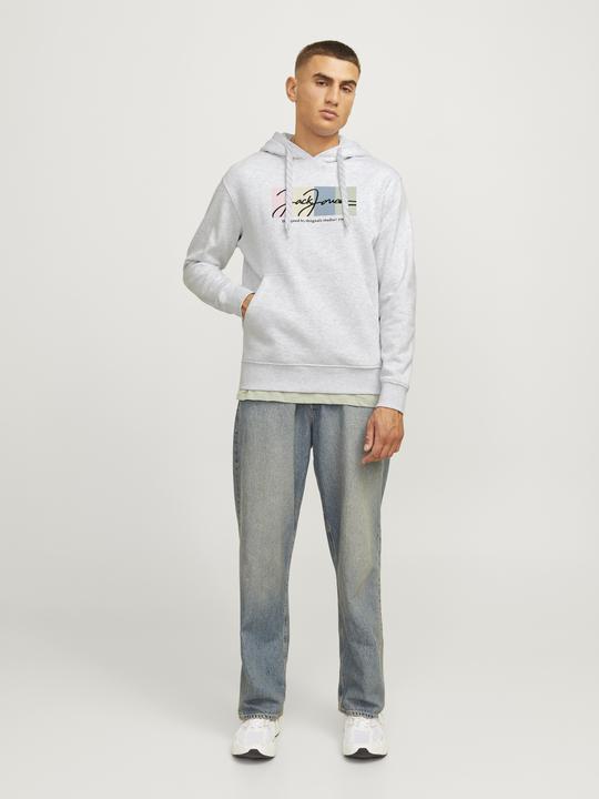 Produktbild Jack & Jones Jorportland Block Sweat Hood Ln (M)