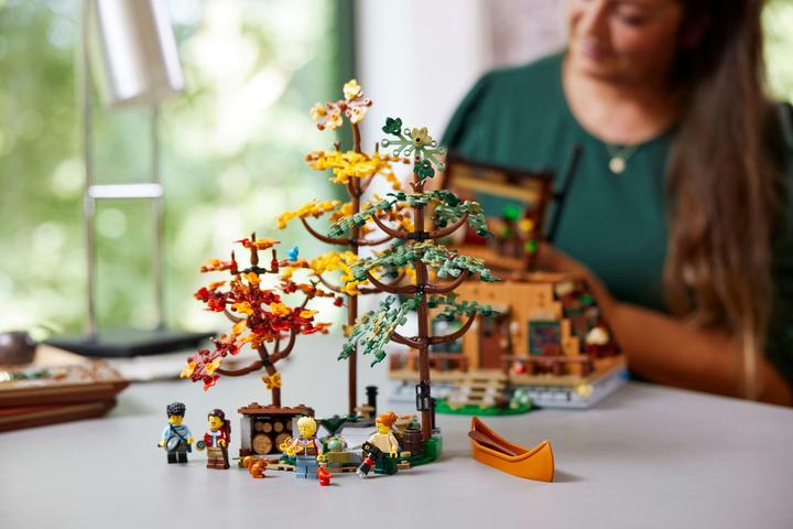 Produktbild LEGO Finnhütte (21338, LEGO Ideas, LEGO Seltene Sets)
