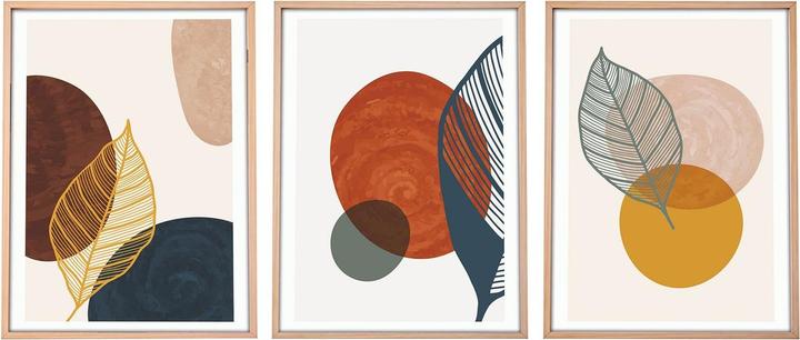 Wallxpert Terry (50 x 70 x 2.5 cm)
