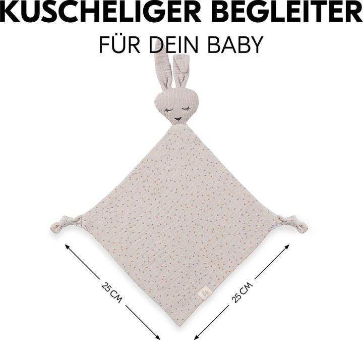 Immagine prodotto Hauck Cuddle N Play Rabbit