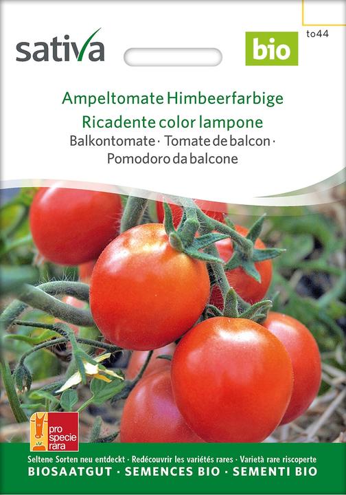 Produktbild Sativa Ampeltomate Himbeerfarbig (Gemüsesamen)