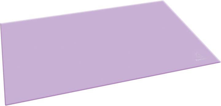 Exacompta Sous-main (585 x 385 mm)
