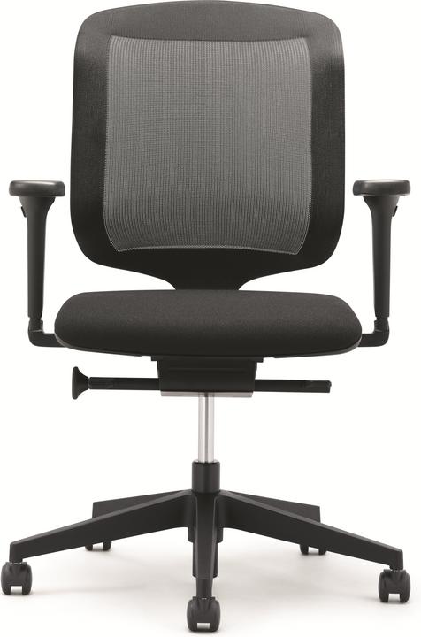 Giroflex 434-3019-C2G Schwarz mit Armlehnen