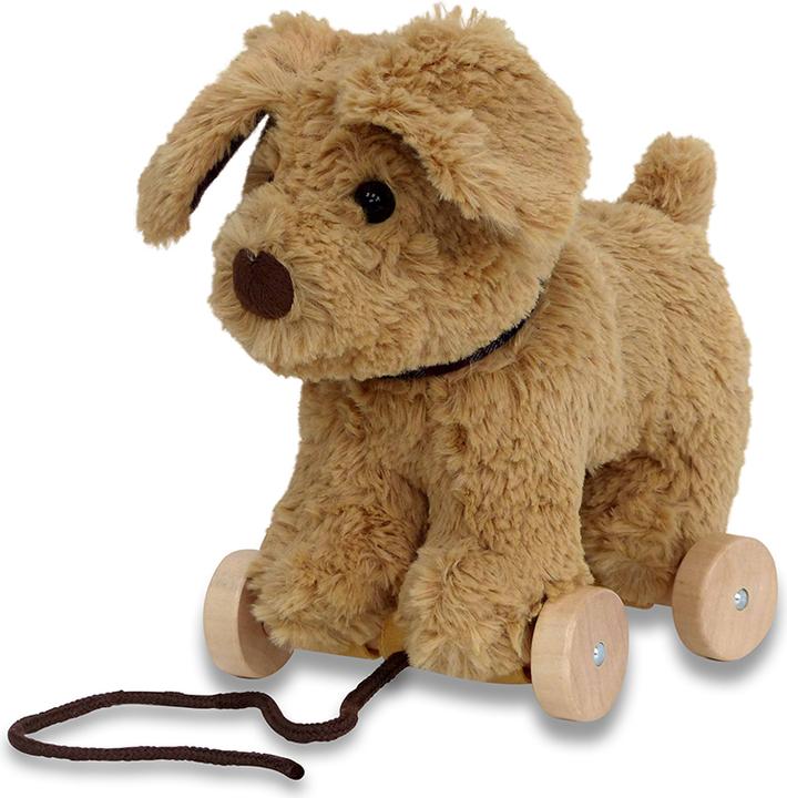 Produktbild little bird told me Dexter Dog Pull Along