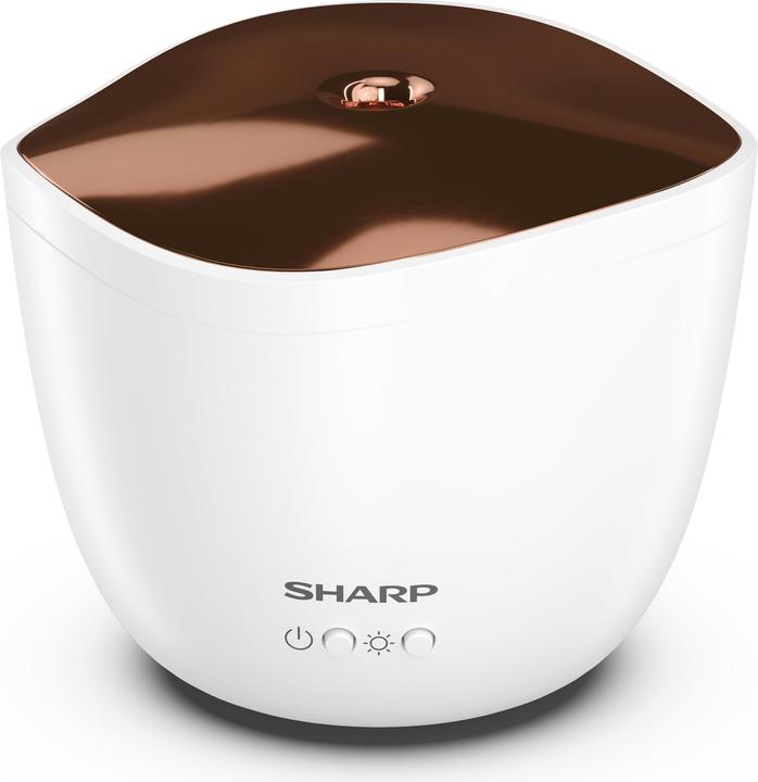 Produktbild Sharp DF-A1E-W
