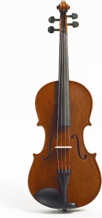 Actual product image Stentor Messina (Viola, 4/4)