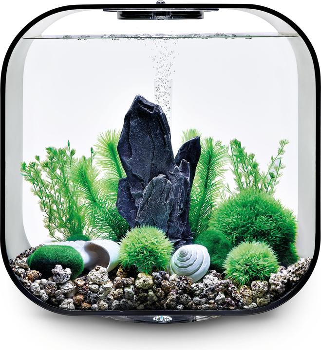 Actual product image Oase biOrb Aquarium 30 Decor Set (Embellishment, other items)