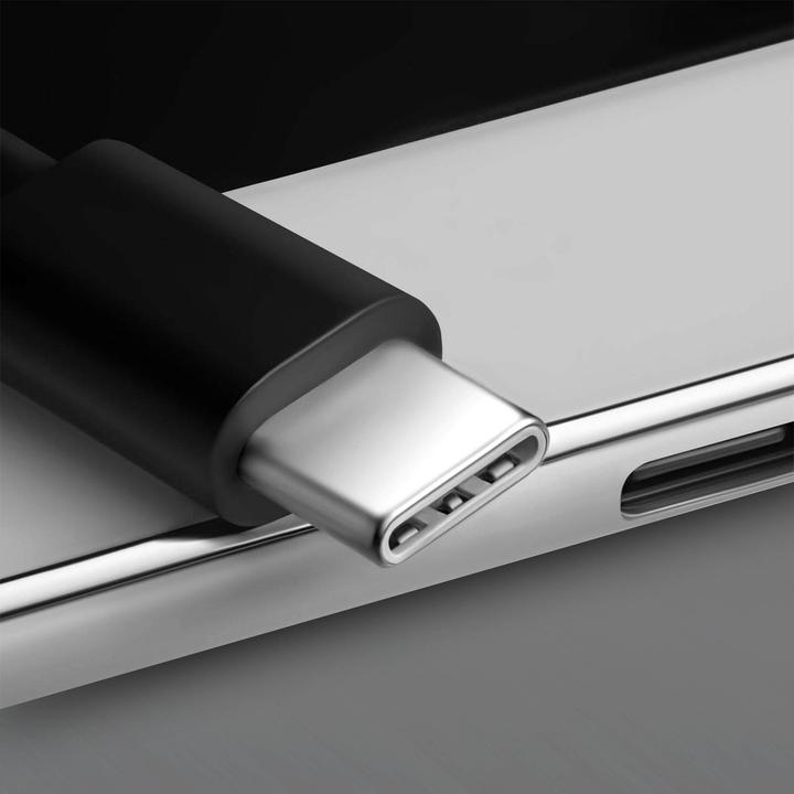Actual product image Avizar USB / 2x USB-C cable (0.30 m, USB 2.0)