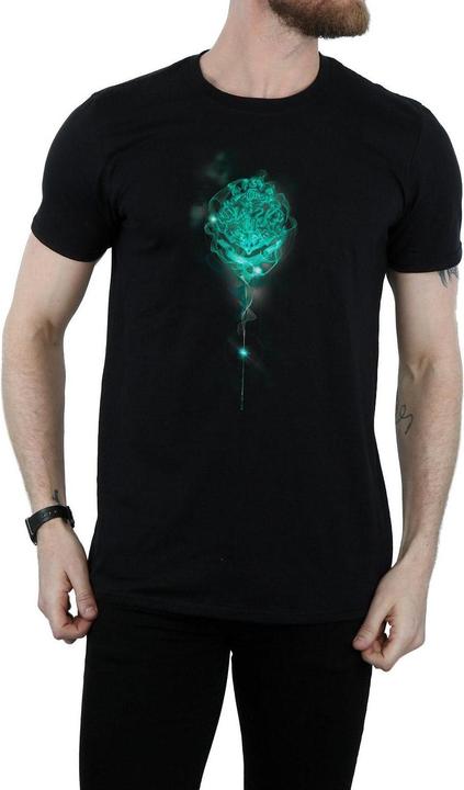 Produktbild Hogwarts Crest Mist TShirt (XL)