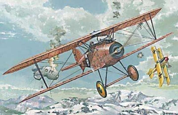 Actual product image Roden Albatros D.III Oeffag s.153(early)