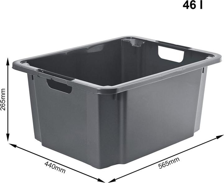 Actual product image Rotho Reverso (44 x 26 x 56 cm, 46 l)
