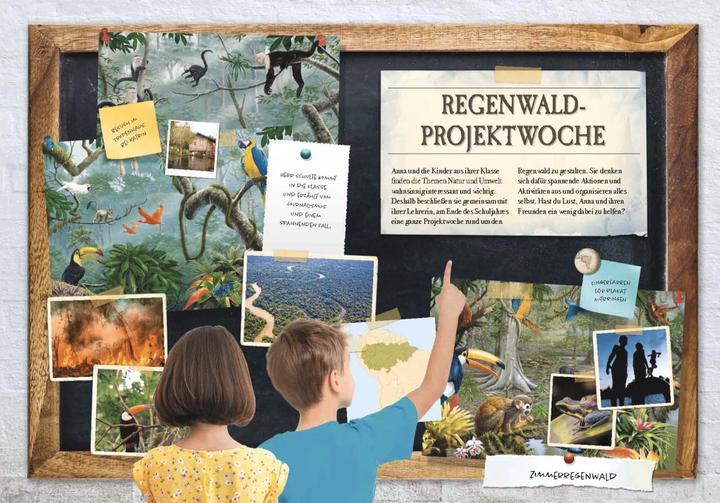 Produktbild Verborgene Welt des Regenwaldes (Deutsch, Kristina Scharmacher-Schreiber, Ferruccio Cucchiarini, 2020)