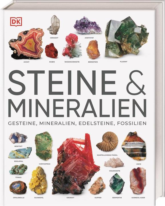 Produktbild Steine & Mineralien (Deutsch, Ronald L. Bonewitz, Karin Koch, Stephan Matthiesen, 2023)