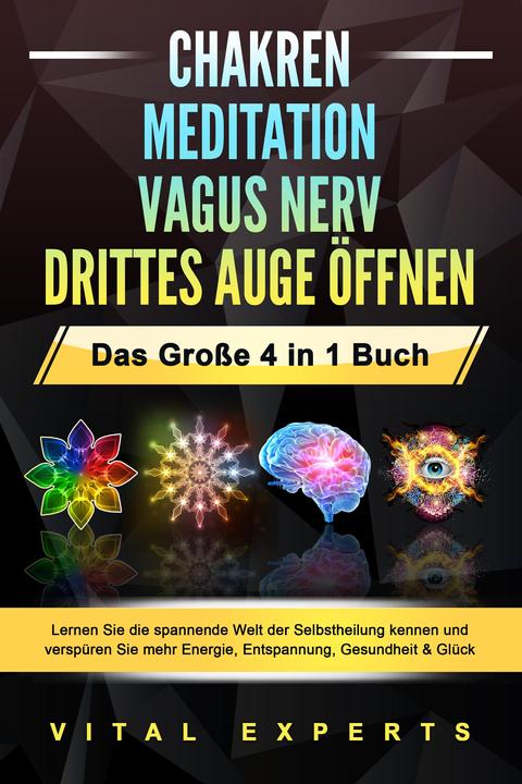 Image du produit Elektrobock Chakren - Meditation - Vagus Nerv - Drittes Auge öffnen (Allemand, Vital Experts, 2024)