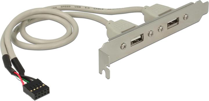 Produktbild Delock Slotblech 2x USB 2.0 zu 10 Pin Header (0.30 m, USB 2.0)