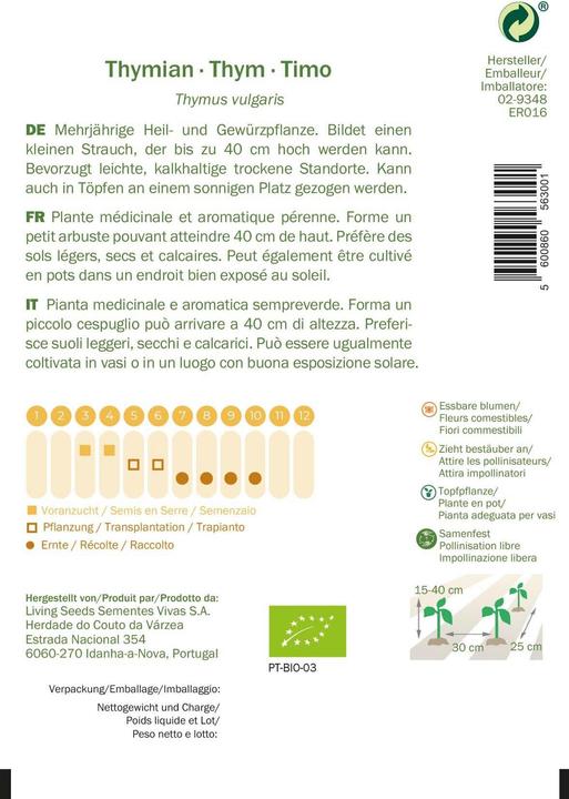Actual product image Living Seeds Thymian (Seedlings)