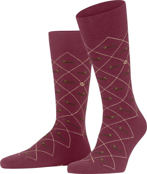 Burlington Dachshund (Einzelpack, 40 - 46)