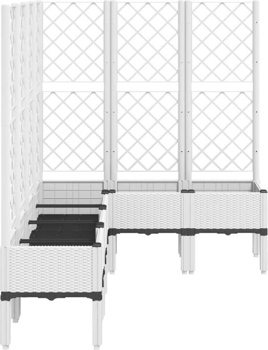 Bianco