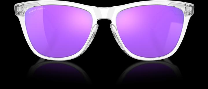 Actual product image Oakley Frogskins