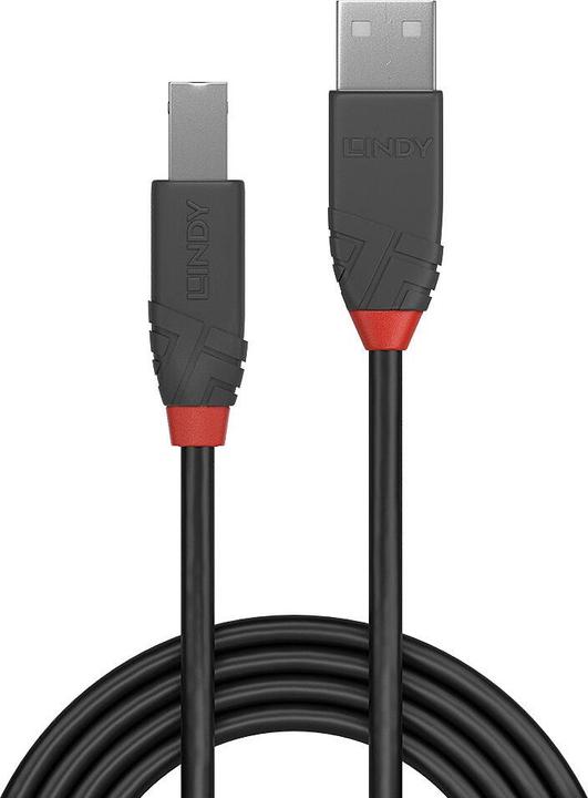 Produktbild Lindy Anthra Line (0.20 m, USB 2.0)