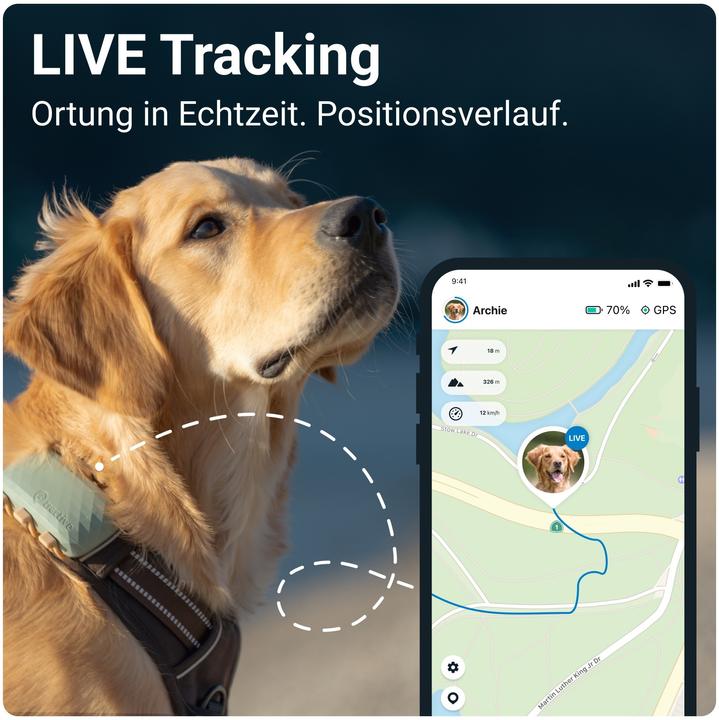 Produktbild Tractive DOG XL GPS Tracker für Hunde (Hund, Allgemein)