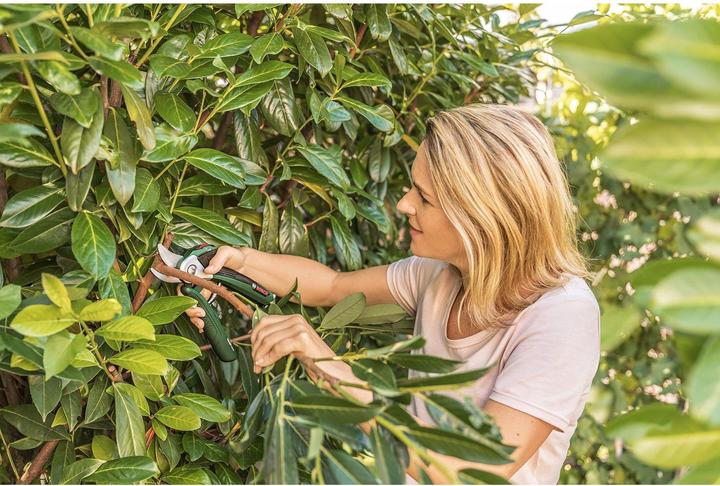 Immagine prodotto Bosch Home & Garden EasyPrune