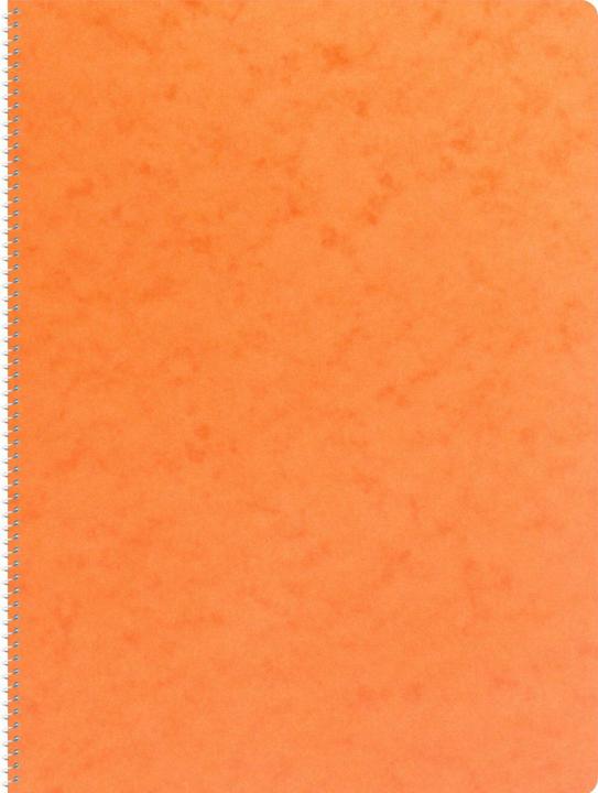 Actual product image Novooo Spiralheft assortiert (A4, Checked)
