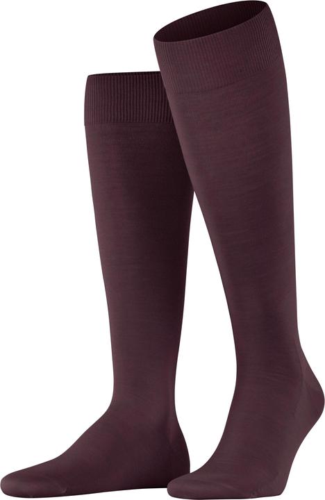 Falke Clima Wool