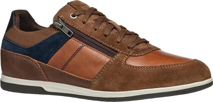 Brown, Navy blue