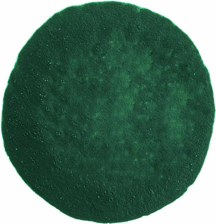 Actual product image Rico Design Rico Squeeze Marker 60 ml dark green (Dark green, 1 x)