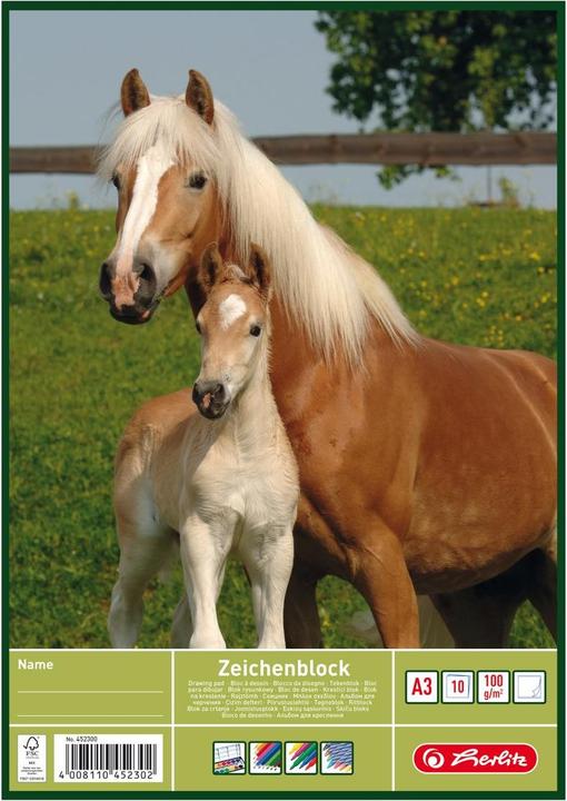 Produktbild Herlitz Zeichenblock DIN A4, 100 g/qm, 20 Blatt (A4, Kein Einband)