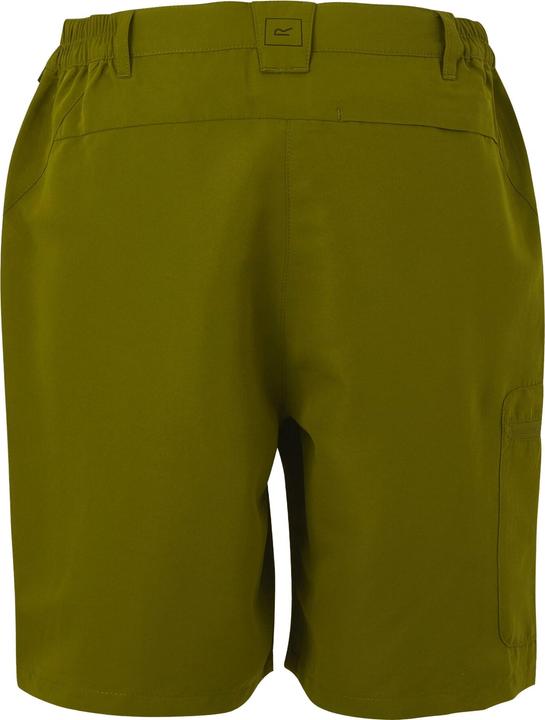 Actual product image Regatta Womens/Ladies Chaska III Walking Shorts (44 D)