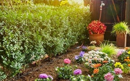 Produktbild Gardena MDS Start-Set (Tropfbewässerung Set)