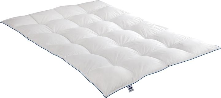 Image du produit Irisette Couette de duvet 4 saisons Luna (1160 g, 155 x 220 cm)