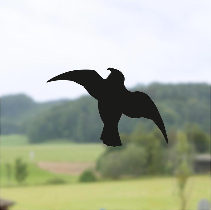 Actual product image Windhager Bird silhouettes