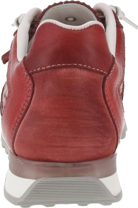 Produktbild Cetti C-848 EXP V25 (44)