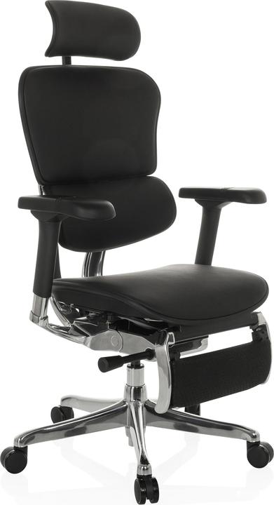 Actual product image Hjh Office Ergohuman Plus Legpro Gen2