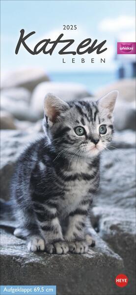 Produktbild Whiskas Katzenleben Kalender 2025 (Deutsch)